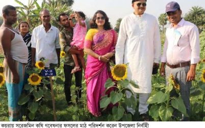 কয়রায় ফসলের মাঠ পরিদর্শন করলেন ইউএনও অনিমেষ বিশ্বাস