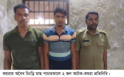 কয়রায় অবৈধ চিংড়ি মাছ পাচারকালে ২জন গ্রেফতার