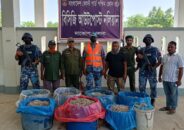 সুন্দরবনে বিষ প্রয়োগে ধরা ১ হাজার কেজি চিংড়ি মাছ জব্দ