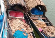 সুন্দরবনে বিষাক্ত থাবা আটক ৪ মাছ শিকারী