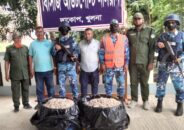 সুন্দরবনের বিষ প্রয়োগ করা ১৫০ কেজি চিংড়ি জব্দ