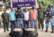সুন্দরবনের বিষ প্রয়োগ করা ১৫০ কেজি চিংড়ি জব্দ