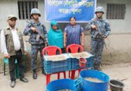 বিশেষ অভিযানে জেলিপুশকৃত চিংড়িসহ ১ জন আটক, জরিমানা ৫০ হাজার
