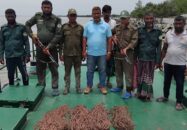 বনবিভাগের অভিযানে ১’শ ২০ মিটার হরিণ ধরার ফাঁদ উদ্ধার 