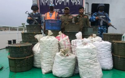 সুন্দরবনে ৭’শ কেজি অবৈধ কাঁকড়া সহ ট্রলার জব্দ