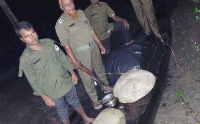 কয়রায় ৮০ কেজি বিষাক্ত চিংড়ি ও নৌকা জব্দ