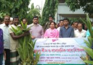 কয়রায় কৃষকদের মাঝে বিনামূল্যে ধানের বীজ ও সার বিতরণ